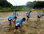 针对宿州市泗县问题青少年特训学校2025更新十大