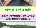 盘点芜湖市无为市励志学校：可免费到校参观