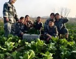 靠谱的温州市瓯海问题青少年戒网瘾学校2025名单一览