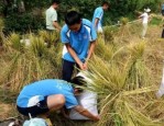 盘点石家庄市赞皇县问题孩子戒网学校实力排名推荐
