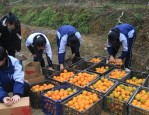 优秀的温州市泰顺叛逆教育封闭式学校：受教育局监管