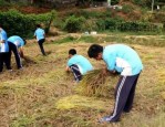 推荐郑州市管城回族叛逆少年教育学校排行榜一览top10