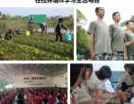 靠谱的黄冈市蕲春青少年叛逆学校口碑排行榜一览
